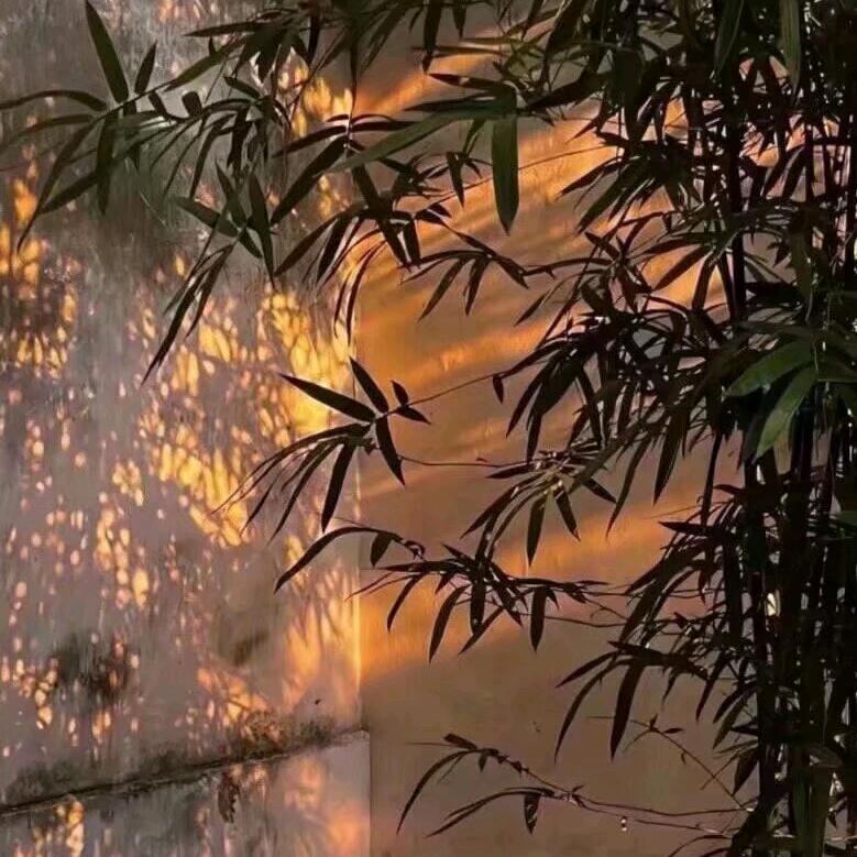 男人、永卟言败⊙ω⊙