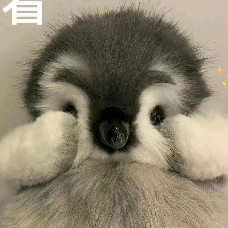 小陈在减肥😢