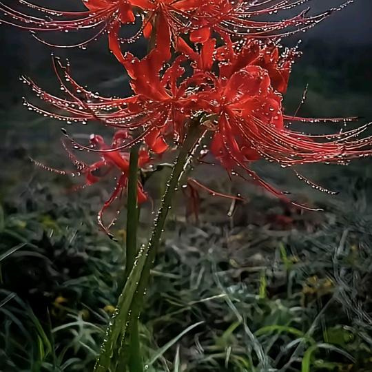 沉默