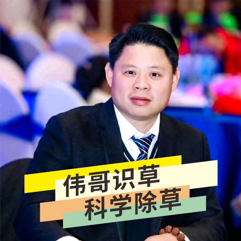 伟伟稻来