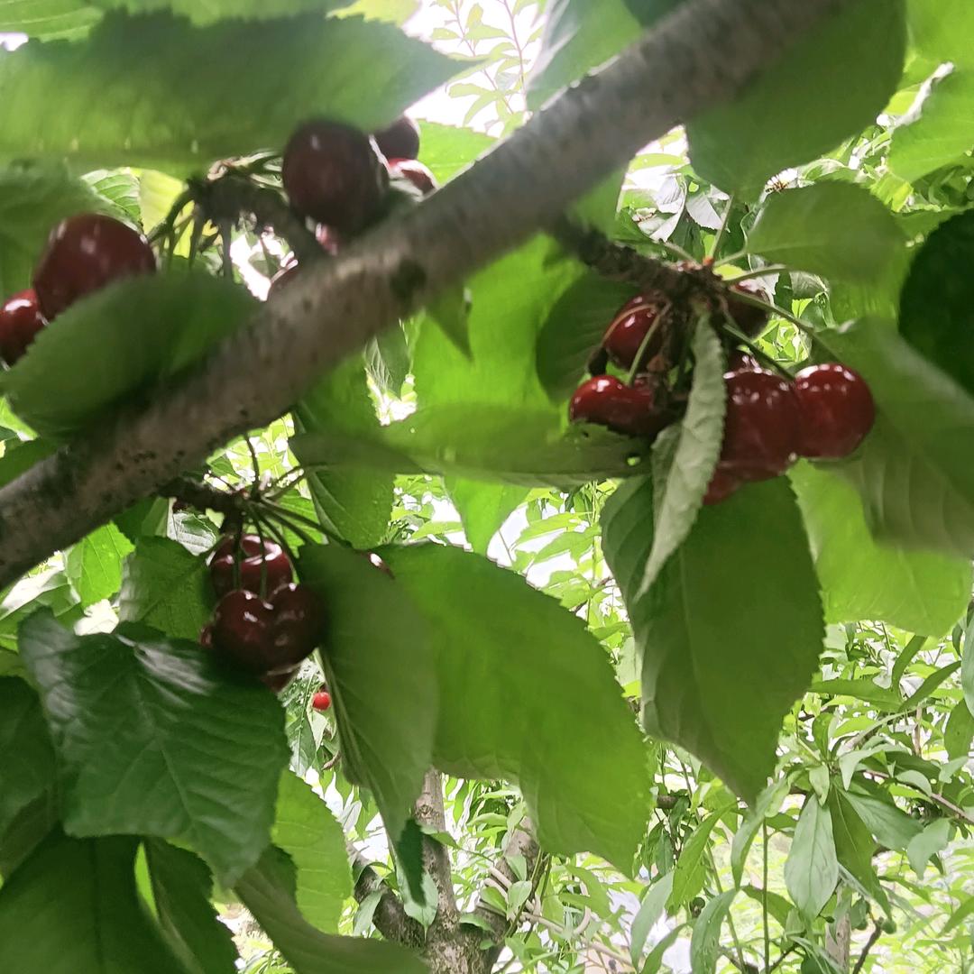 开开心心过好每一天