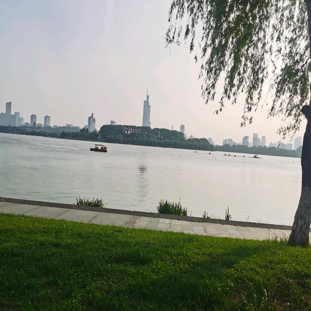 小彬彬