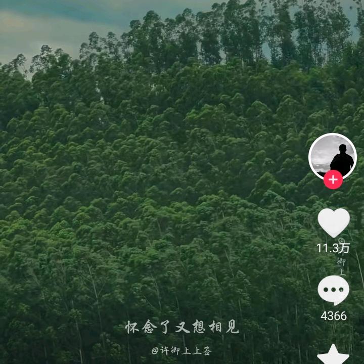 尘世美