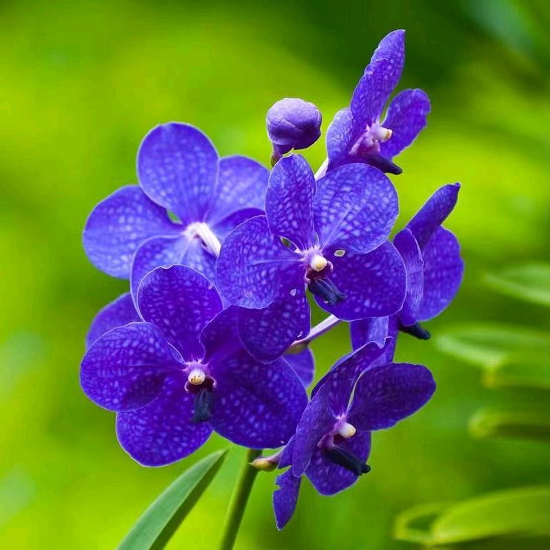 小石头妈妈👩🏻