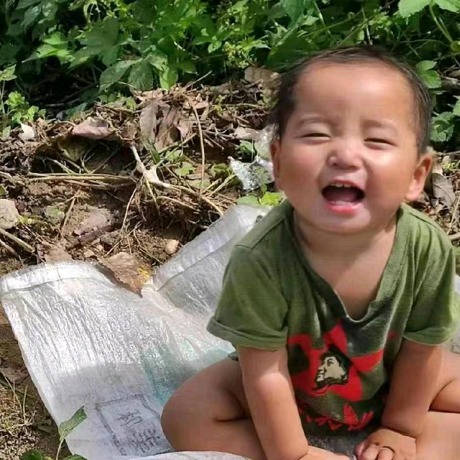 翔诺霖