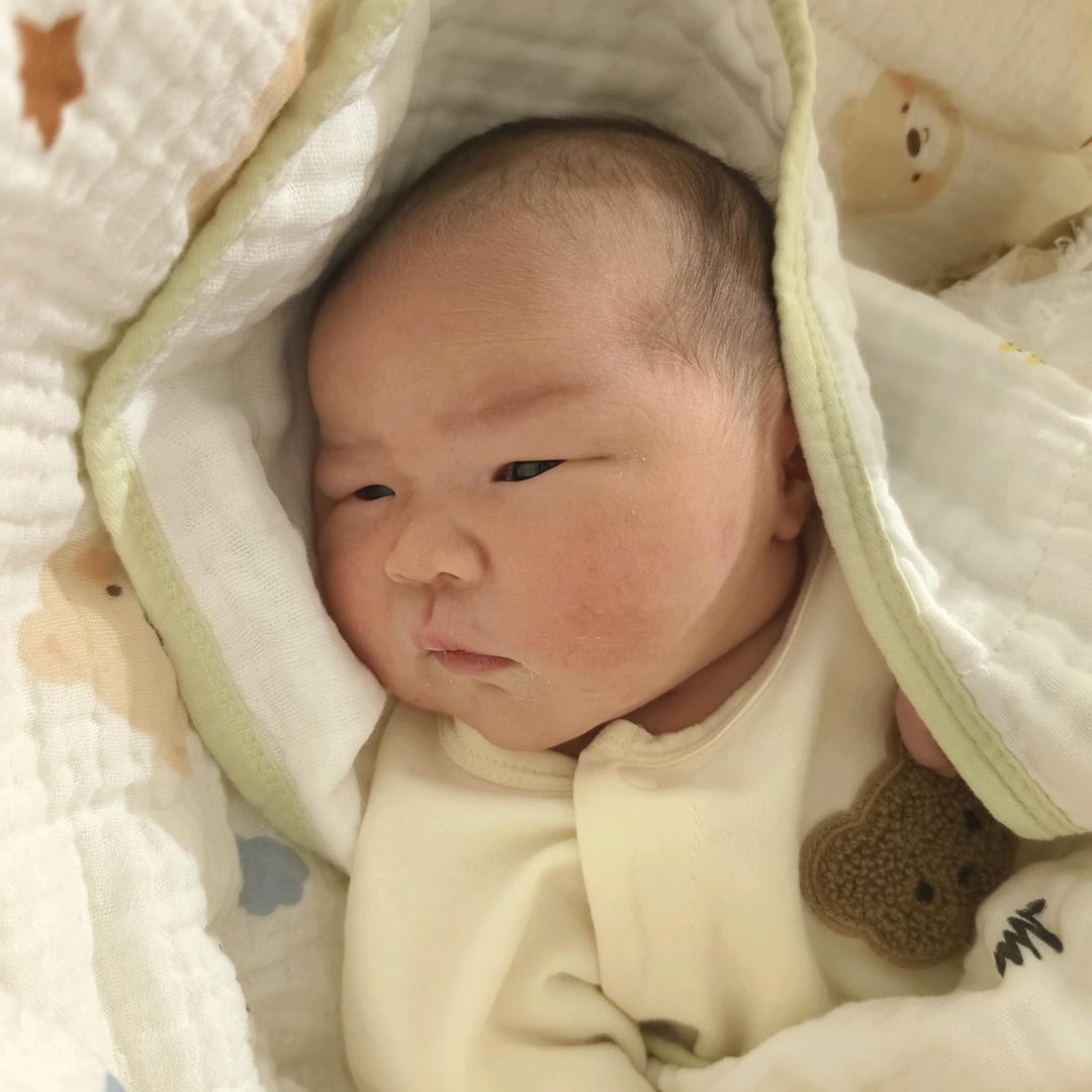 小橙子养成记