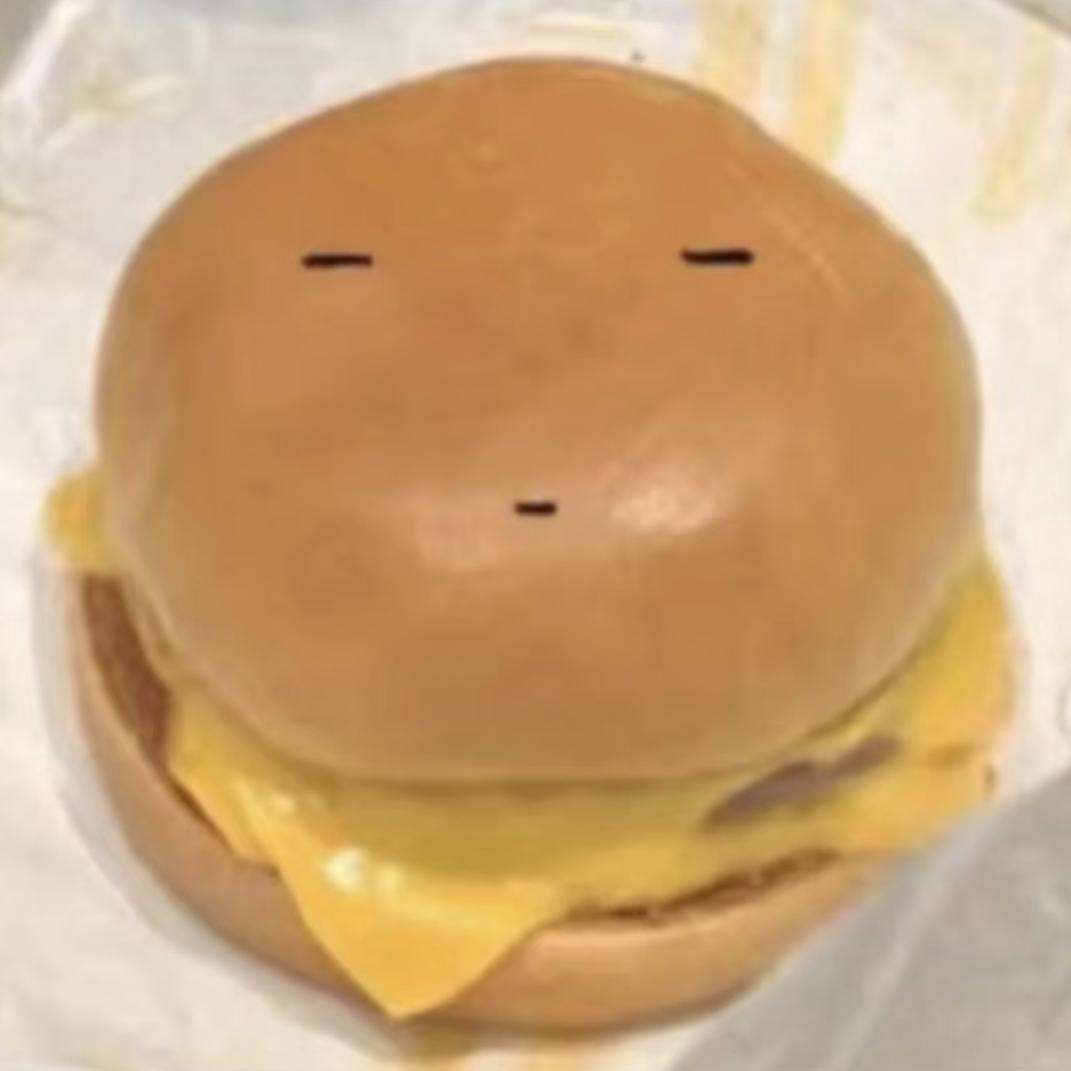 一只淡淡的汉堡