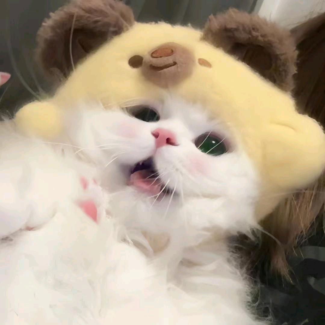 十一ㅤ头像