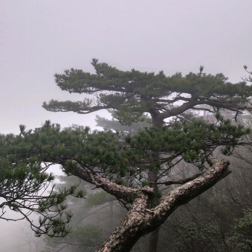 智慧88