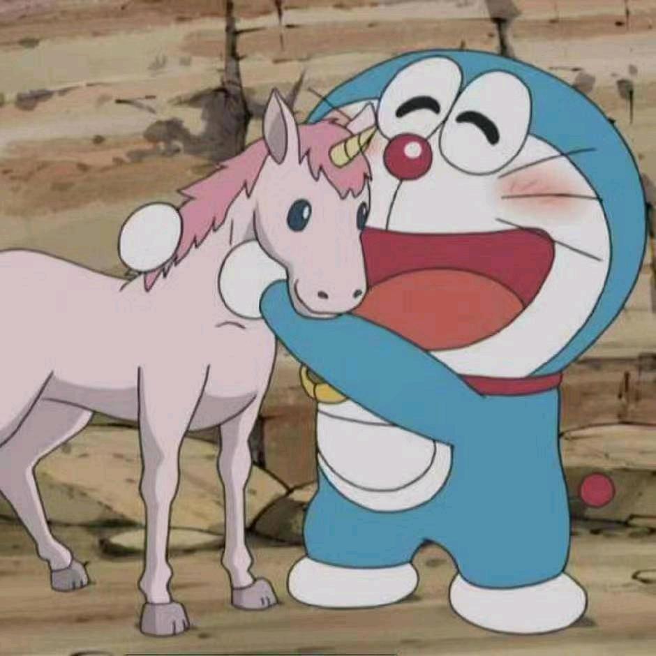 喵喵～～