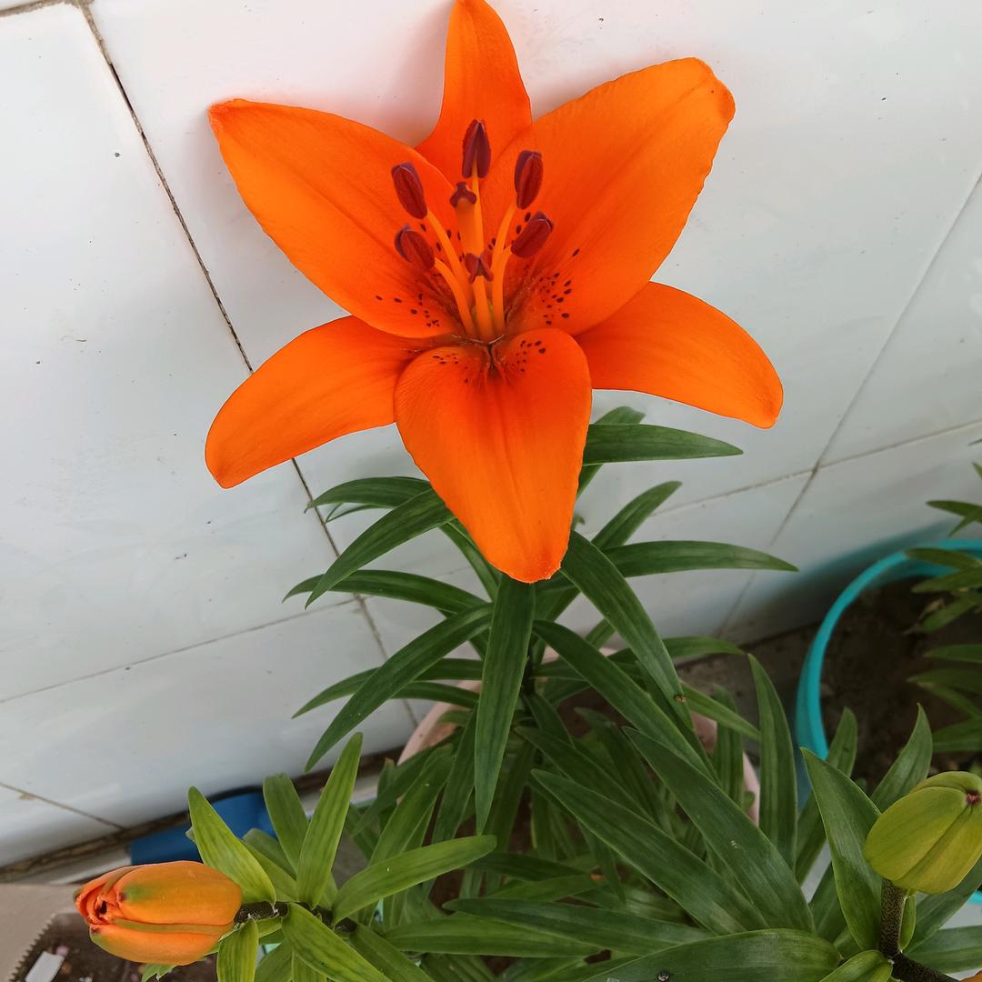 山清水秀