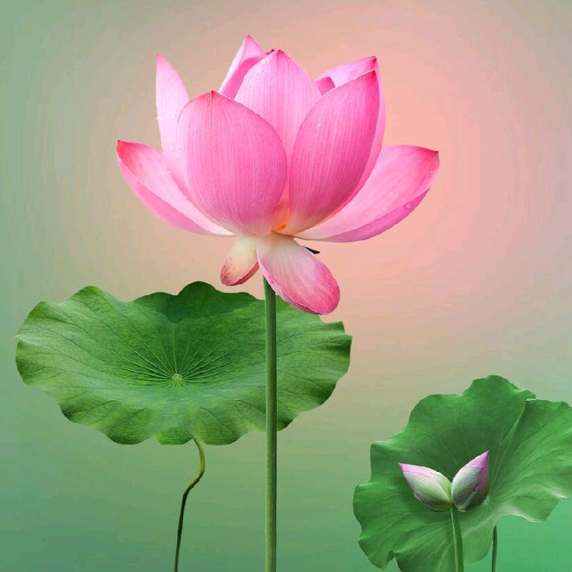 有趣有盼⁵¹⁹⁸