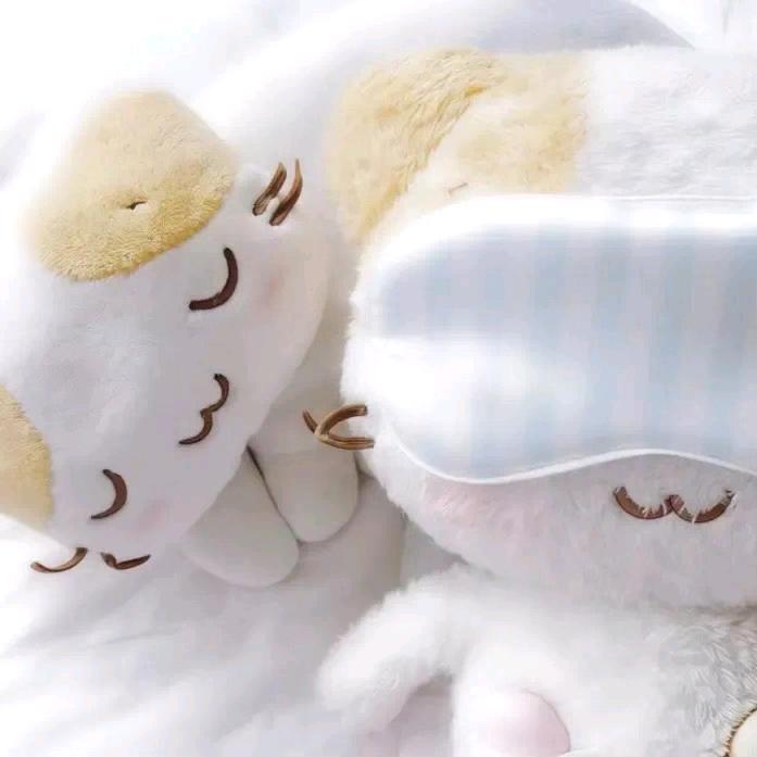 Zzz...