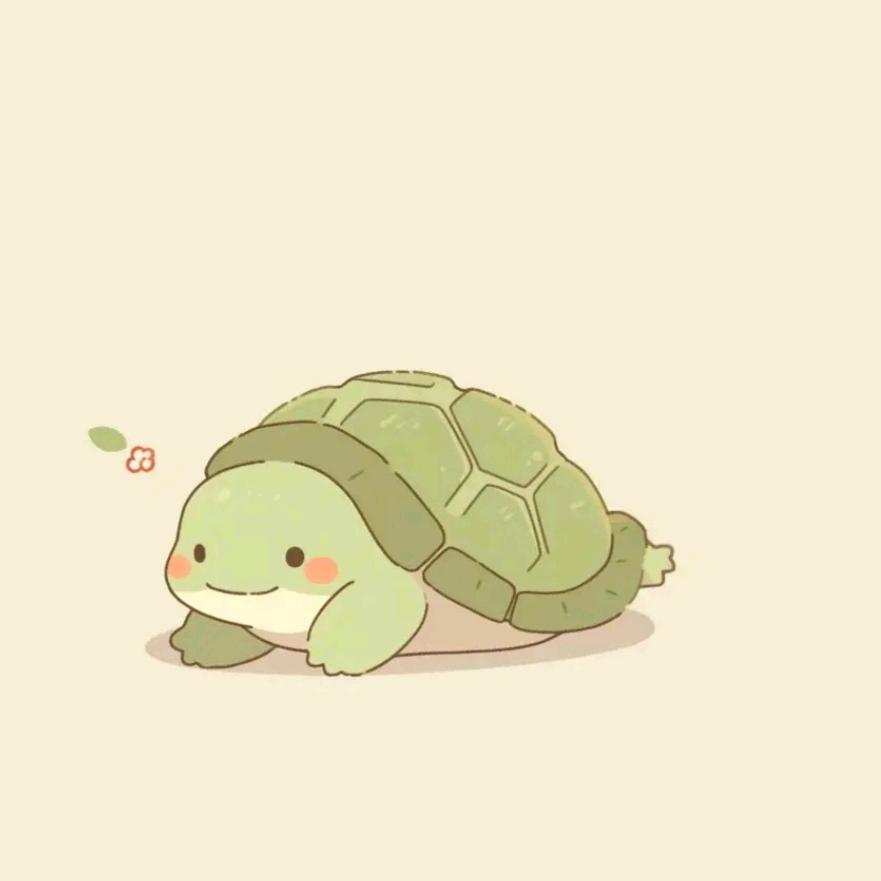 嘟嘟的小龟 🐢