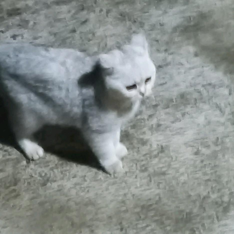 🦋ℒℴѵℯ蝴蝶恋花香⁵²⁰℘࿐