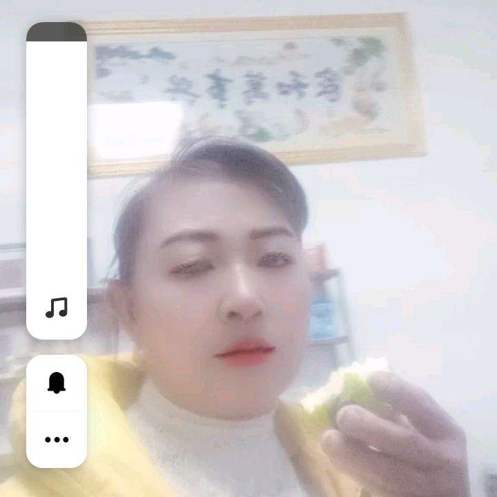 有苦也难言