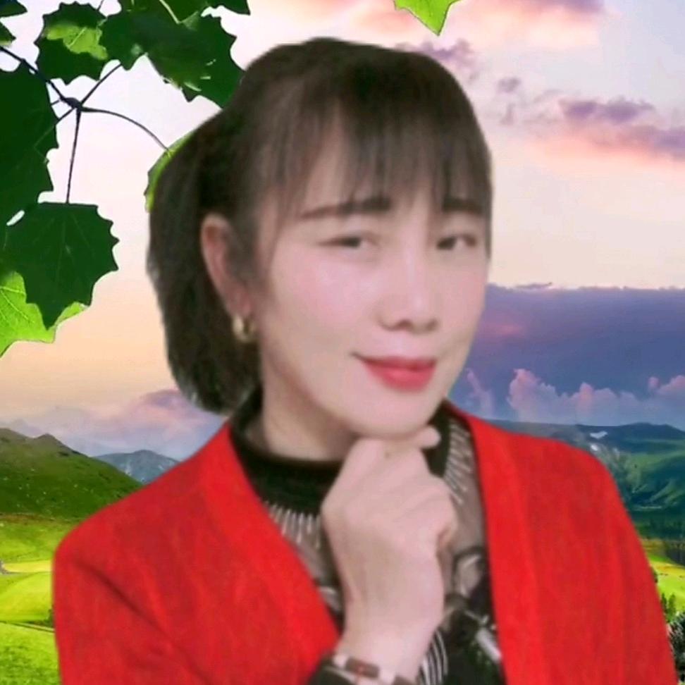 红玫瑰🌹