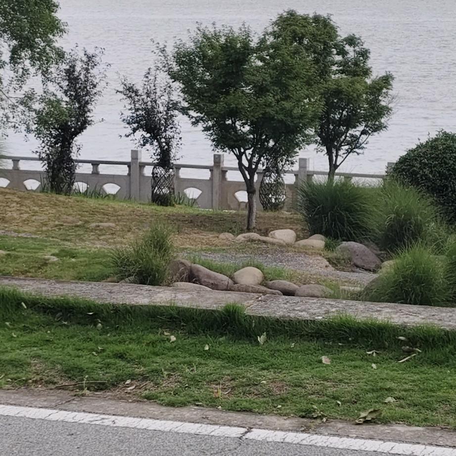 地球造型师👀