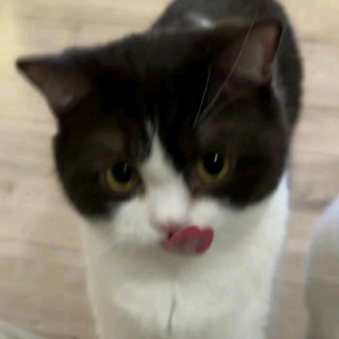 弗祉