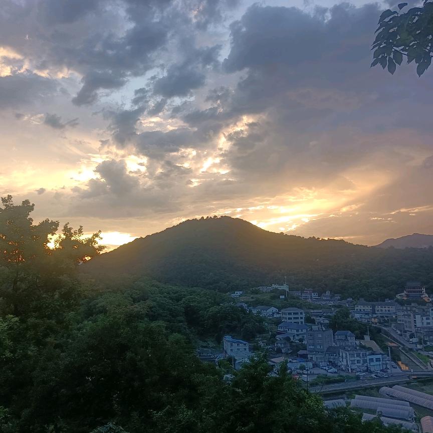 与胶作伴