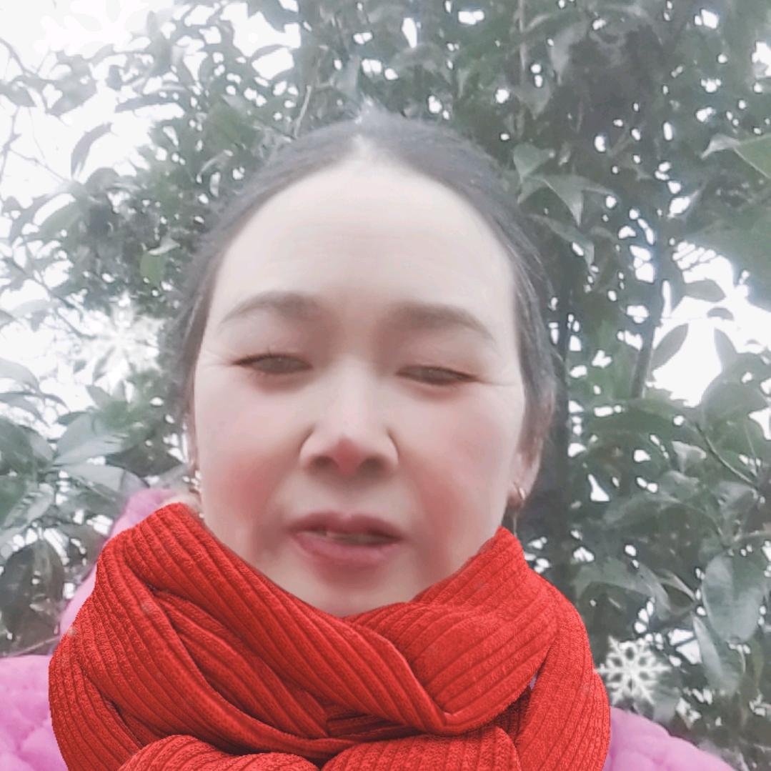 朱二姐