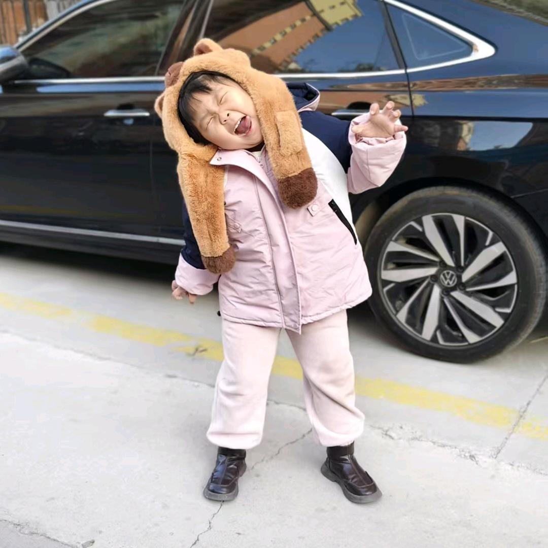 叶子