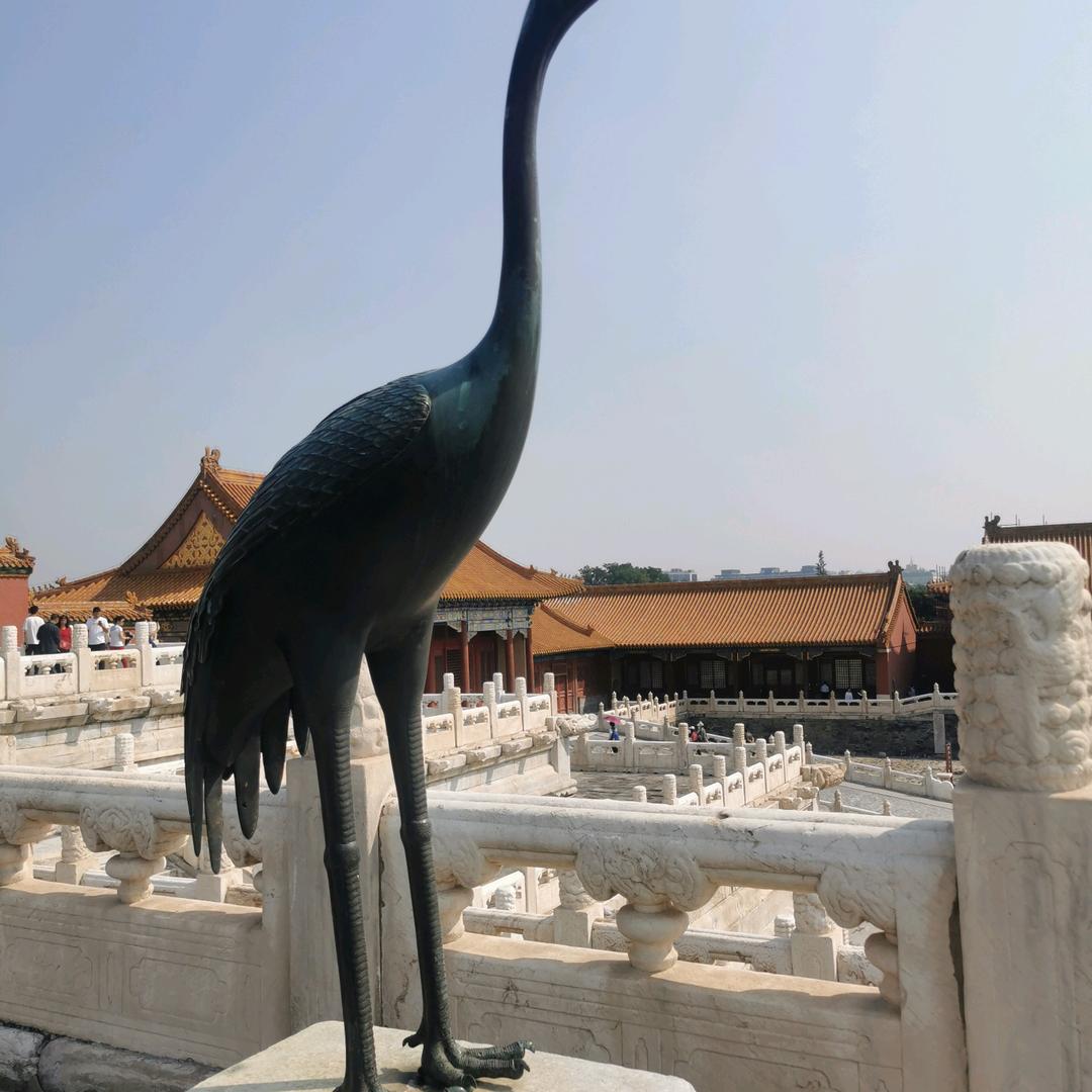 水不在深