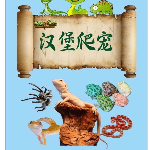 汉堡爬宠