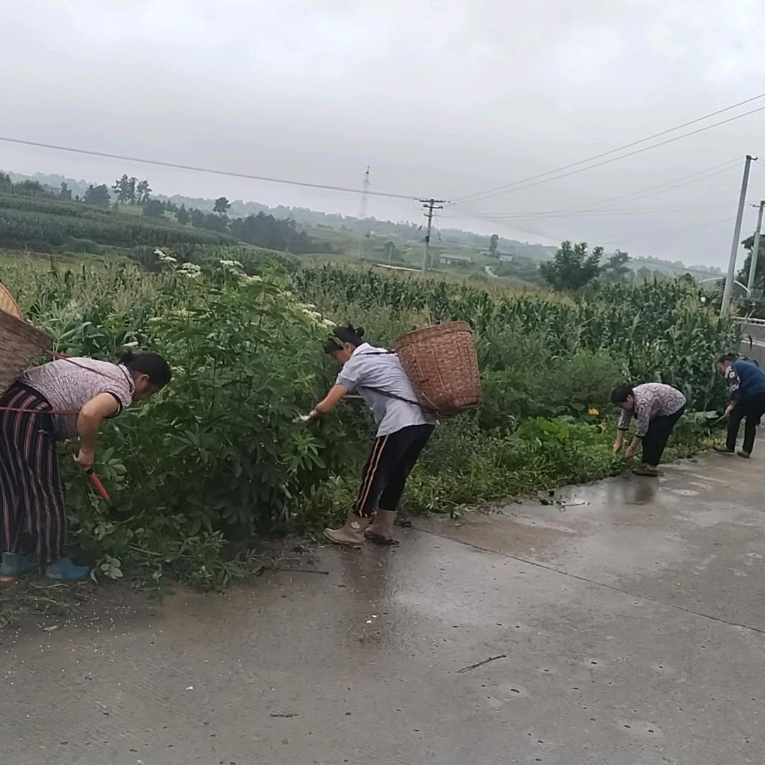 我要幸福