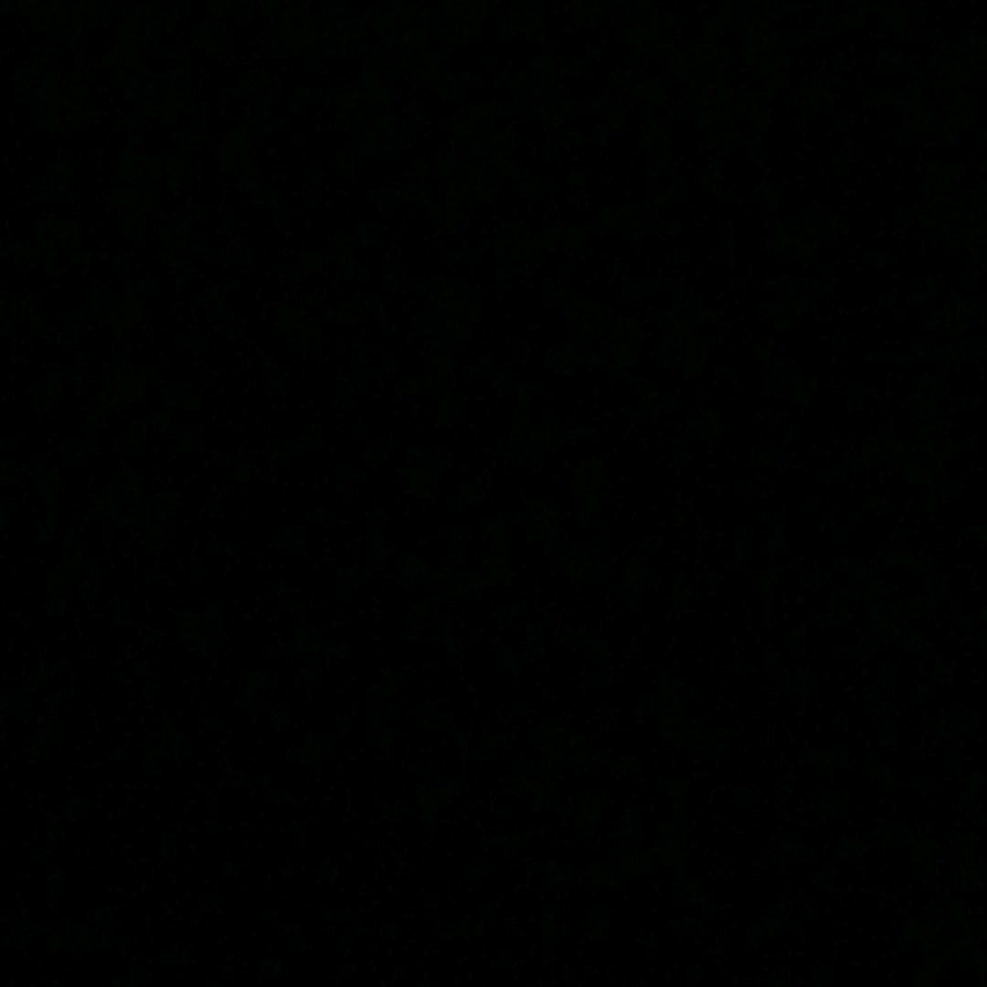 大大怪