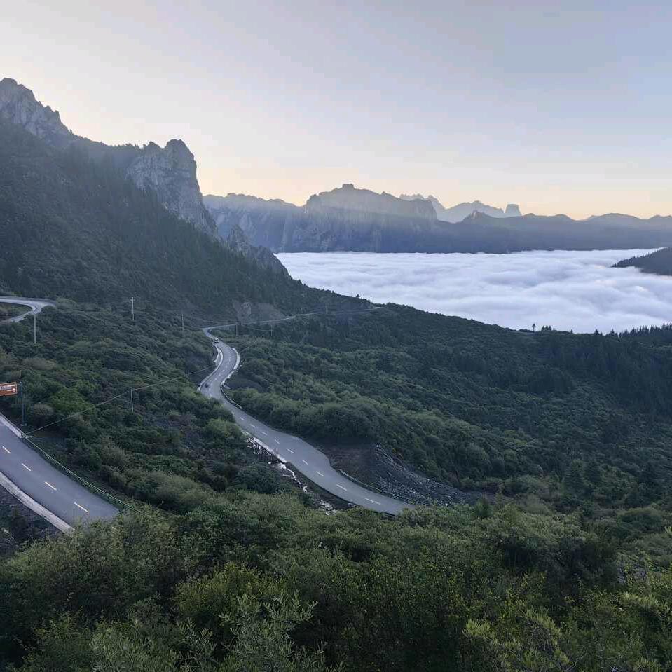 。。。。。。--