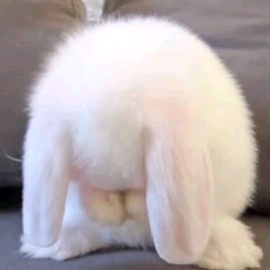 倾