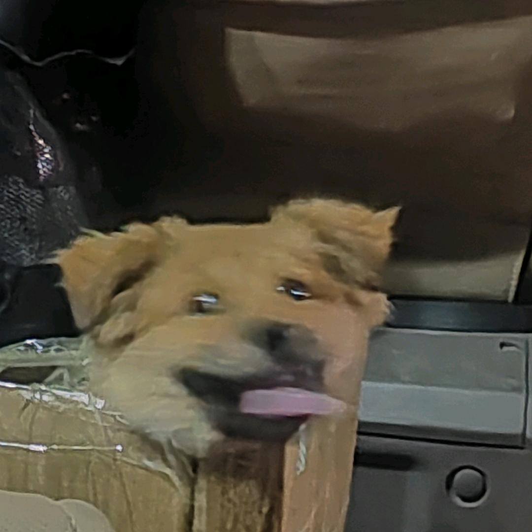那个抑术家🏠🏠🏠