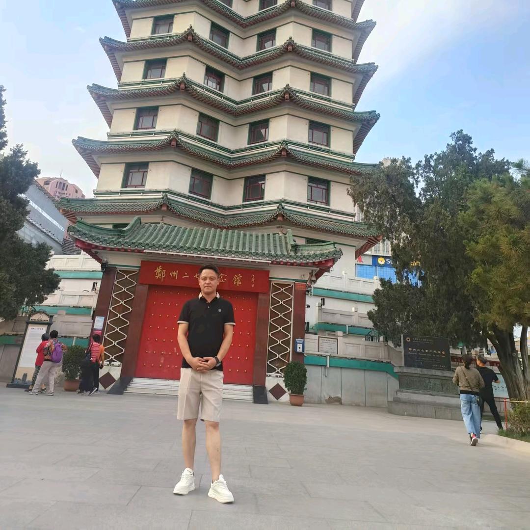 阳光下的向日葵