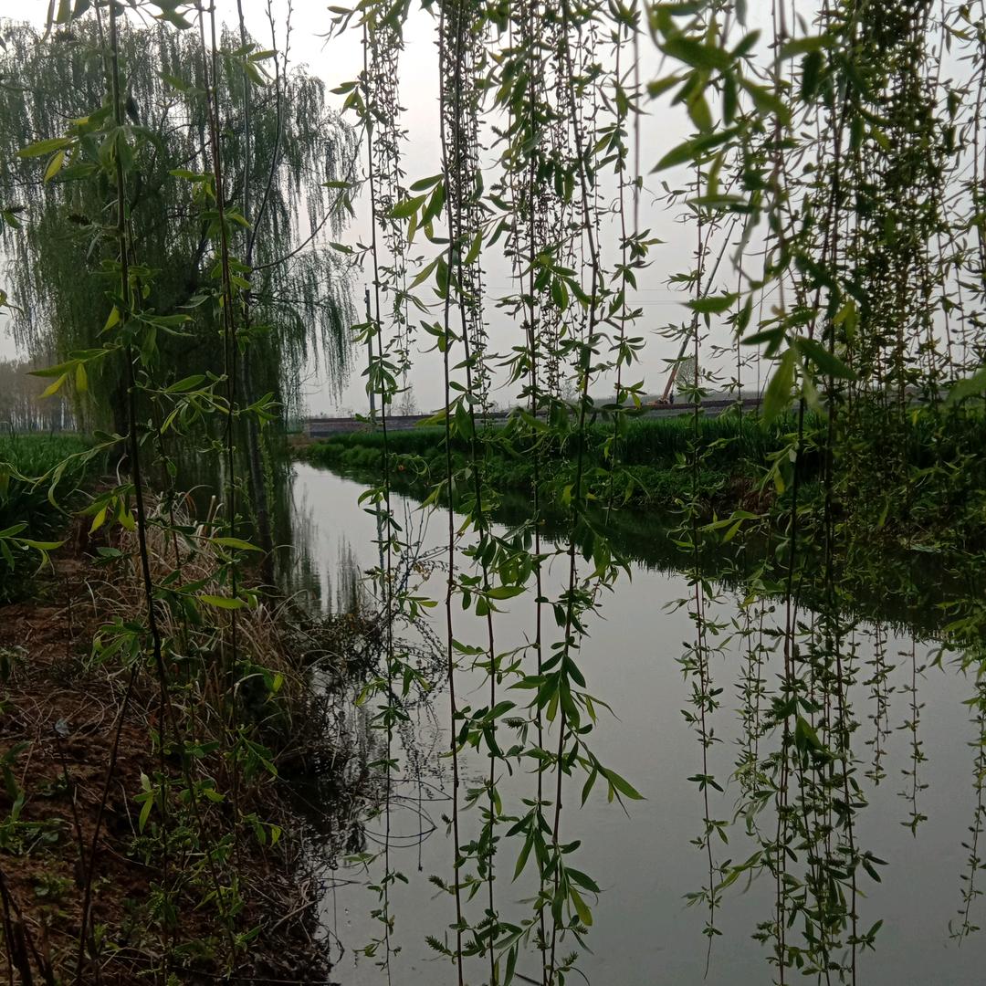 不在意的在意