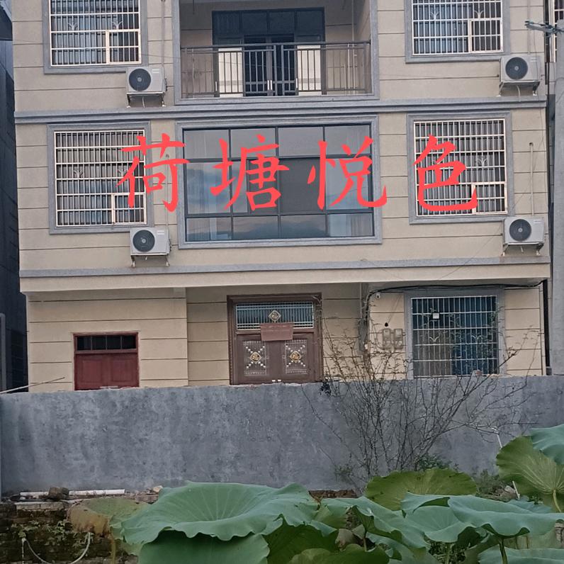 丰：荷塘悦色