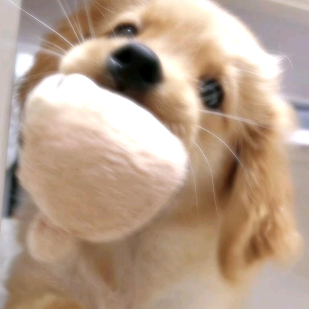 哈哈😃