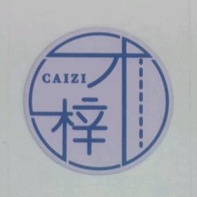 才梓高考升学规划王老师