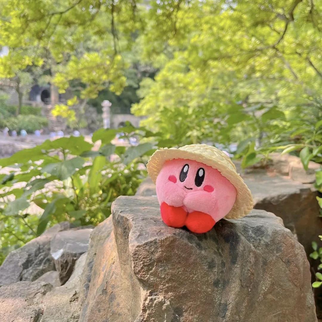 书桌与生活🥕