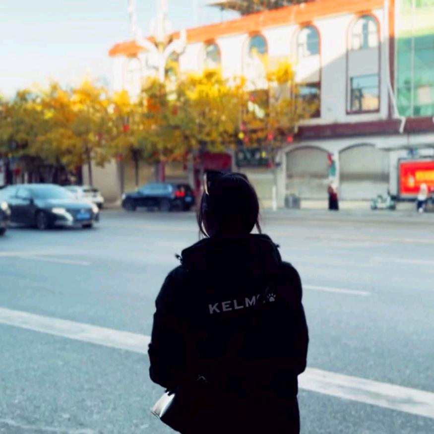董小姐🖤