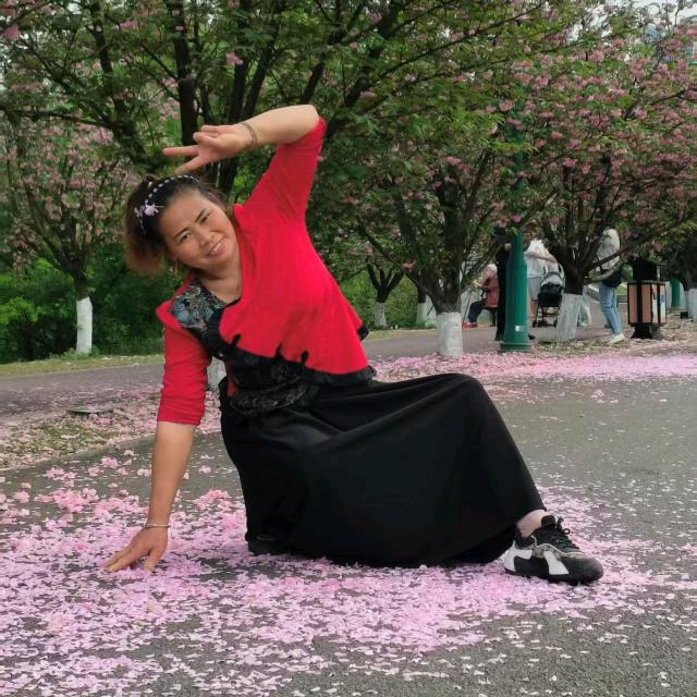 芙蓉花