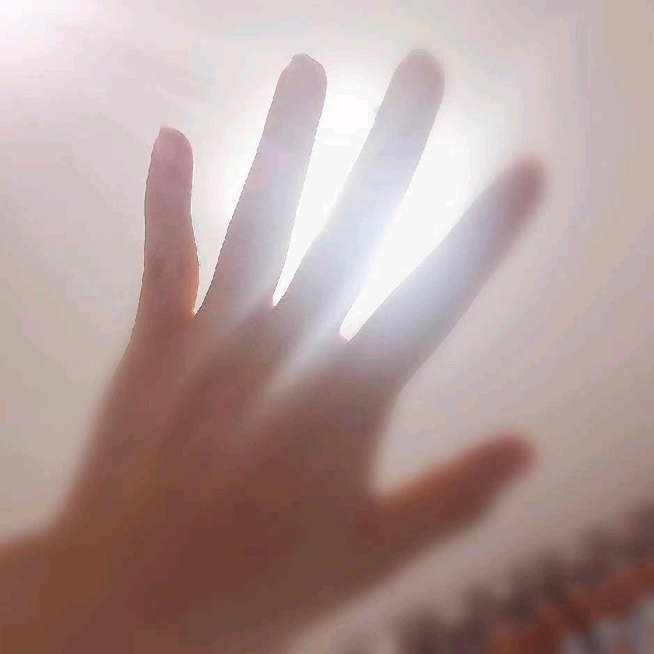 精致大鹅
