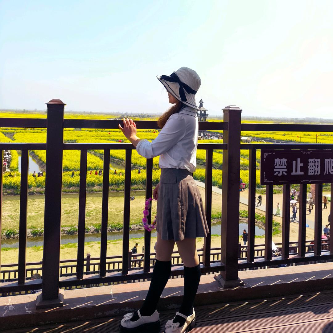 纷飞