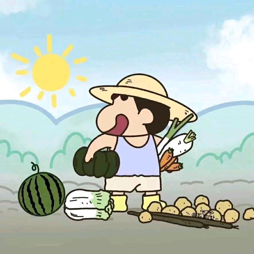 清风暖阳