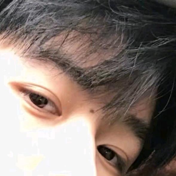 恋子文