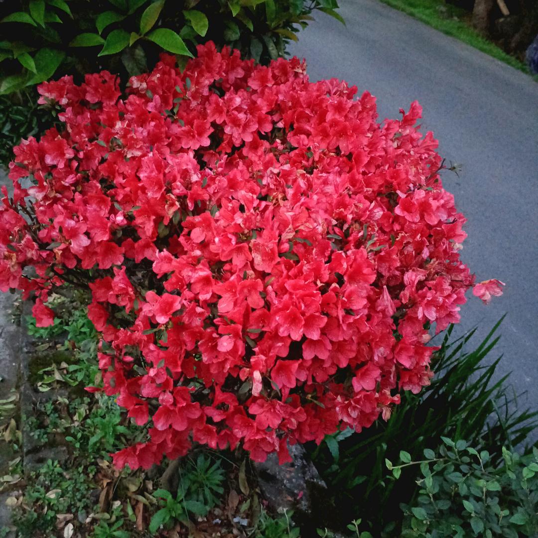随缘不随意