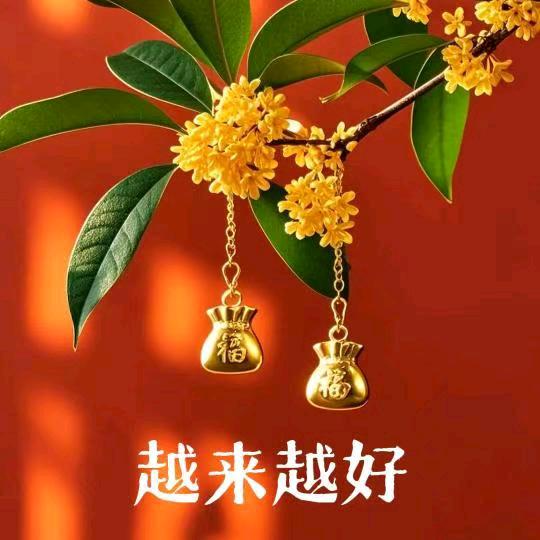 好运伴随我