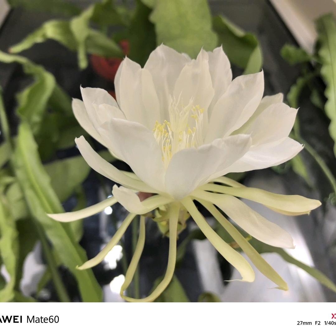 熠心开托管的王老师