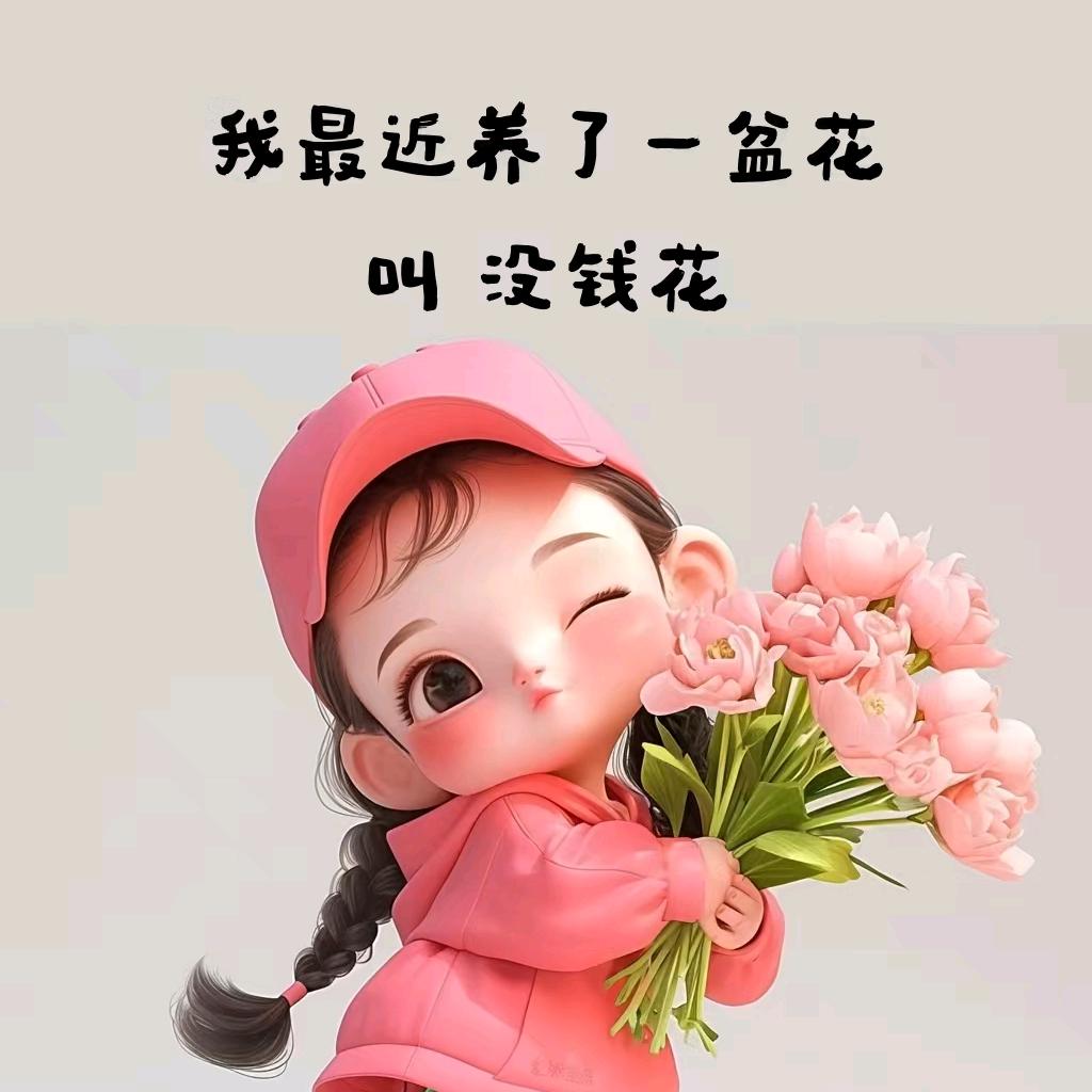 燕子&不会飞