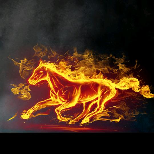 海口龙华善玟丽百货店阿俊来了